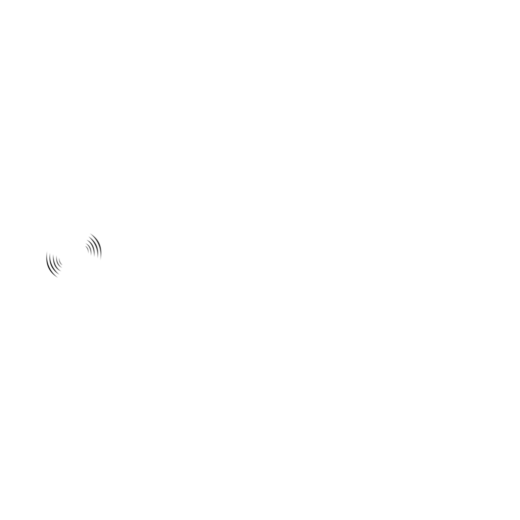 snoozybeats one line